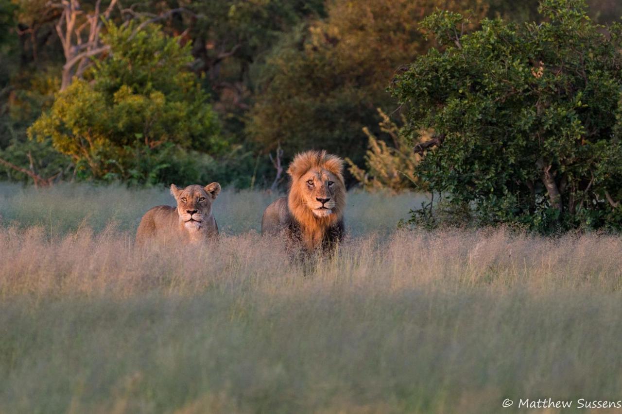 Sausage Tree Safari Camp Заповедник Балуле Экстерьер фото